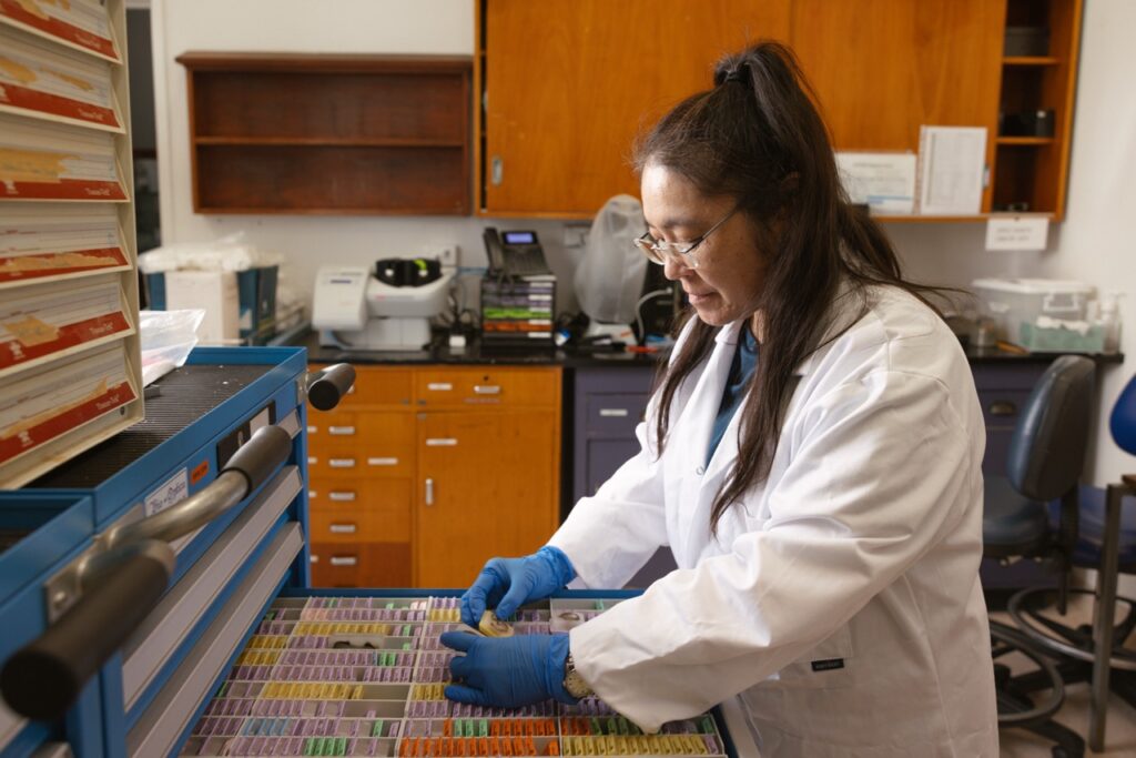 Veterinary scientist in a lab